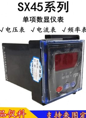 仪科SX45数显频率器DC0-10V直流变频器专用48*48智能转速电流表
