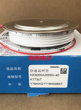 TECHSEM Y76KKG KK3000A 2000V1800V台基中频炉快速晶闸管 可控硅