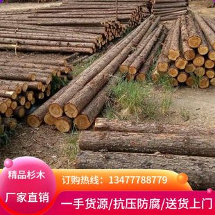 河道打桩木杉木桩原木方松木桩防腐木檩条园林绿化支撑杆园林装饰