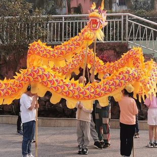 五号学生舞龙 儿童布龙舞龙 舞龙道具儿童龙 儿童龙用品7-14岁