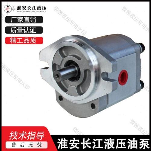 淮安长江齿轮泵RGP-F304/F306/F308/F310/F410/F416/F425精装油泵