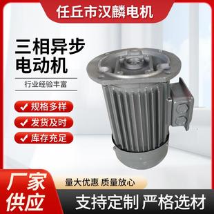 YE3三相异步电动机6极0.37 0.75千瓦 0.55w交流电机1.1w1.5