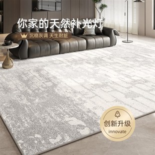 地毯客厅轻奢高级感家用免打理沙发地垫防水防污卧室床边毯大面积