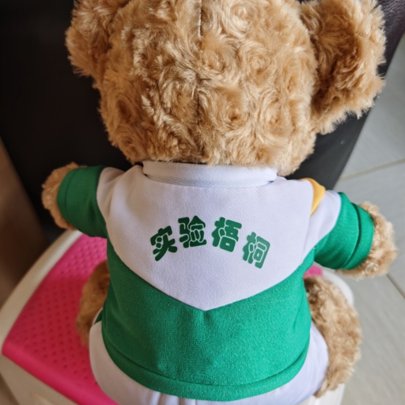 天津市梧桐实验学校服熊公仔校园纪念品毕业礼物聚会用品可要求定