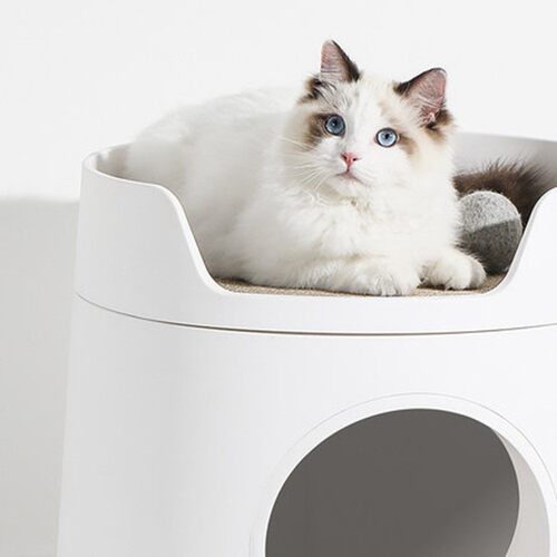 网红猫砂盆特大号小号猫咪用品厕所屎盆全顶入封闭式防外溅猫盆