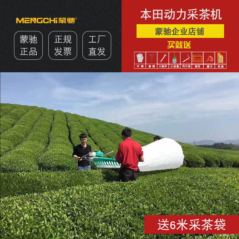 汽油单人背负式茶叶修剪机割草机采茶机绿篱修剪园林专用割灌机