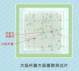 大肠杆菌大肠菌群测试片(ECC),大肠杆菌检测,食品微生物检测纸片