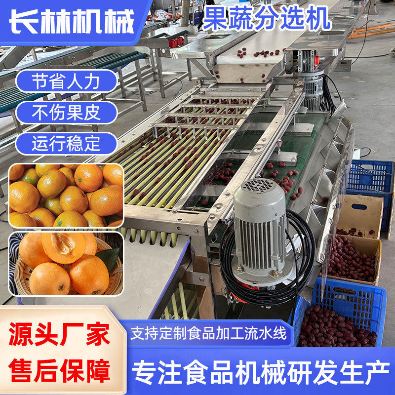 圣女果李子分选机 轨道式坚果分级设备 金桔樱桃脐橙分拣机,清洗/食品/商业设备,洗果机/洗菜机,淘宝优惠券,粉丝福利购,淘宝优惠卷