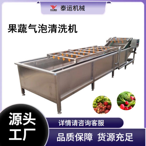 全自动蔬菜气泡清洗机豆角木耳气泡清洗机器水果苹果喷淋清洗机