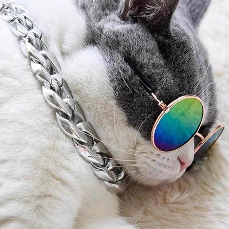 网红个性帅气搞笑宠物狗狗小猫墨