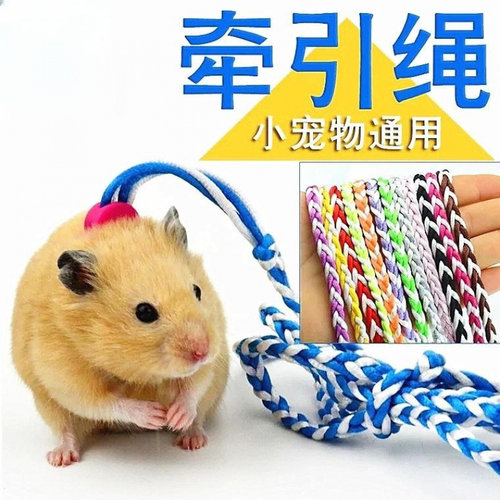 仓鼠绳子牵引绳松鼠刺猬荷兰猪溜