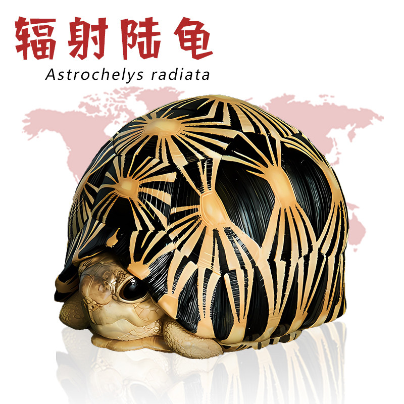 龟缸造景鱼缸水族箱摆件微景观装饰晒台躲避屋动物星球心宽体胖