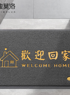 2024新款地垫入户门垫进门门口丝圈防滑脚垫玄关门外除尘耐脏地毯