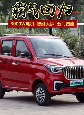 新能源双排电动四轮代步汽车轿车家用成人小型油电混合两用接孩i.
