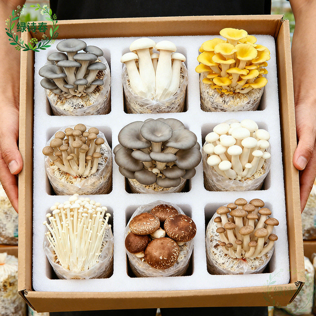 蘑菇种植菌包食用菌黑平菇香菇种子袋装栽培多肉园艺蘑菇盆栽菌棒,鲜花速递/花卉仿真/绿植园艺,水生植物,淘宝优惠券,粉丝福利购,淘宝优惠卷