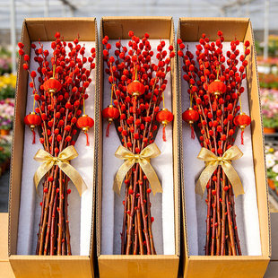 年宵银柳干花真花鲜枝植物红色银柳花瓶年宵花卉福桶客厅室内装饰