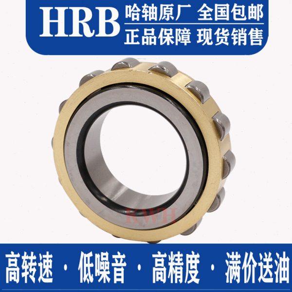 HRB轴承 RN 307 308 309 310 311 312 313 M 偏心摆线针减速