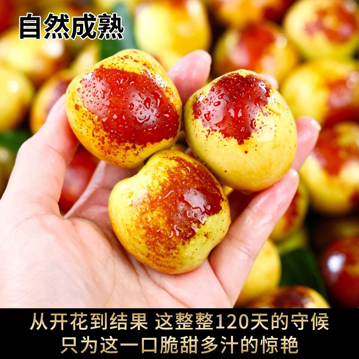 云南大荔冬枣自然熟脆甜多汁