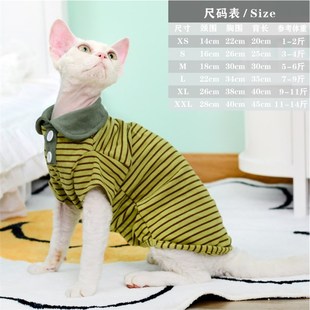 MOMO无毛猫衣服德文宠物猫卫衣春秋弹力打底衣德绒保暖猫咪Polo衫