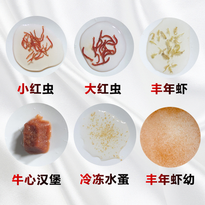 冷冻红虫冰冻血线虫牛心汉堡丰年虾干鹦鹉罗汉七彩神仙龙鱼食饲料