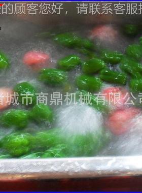 高压气泡洗机 蔬菜水清果56381清洗流水线 多功洗能清机