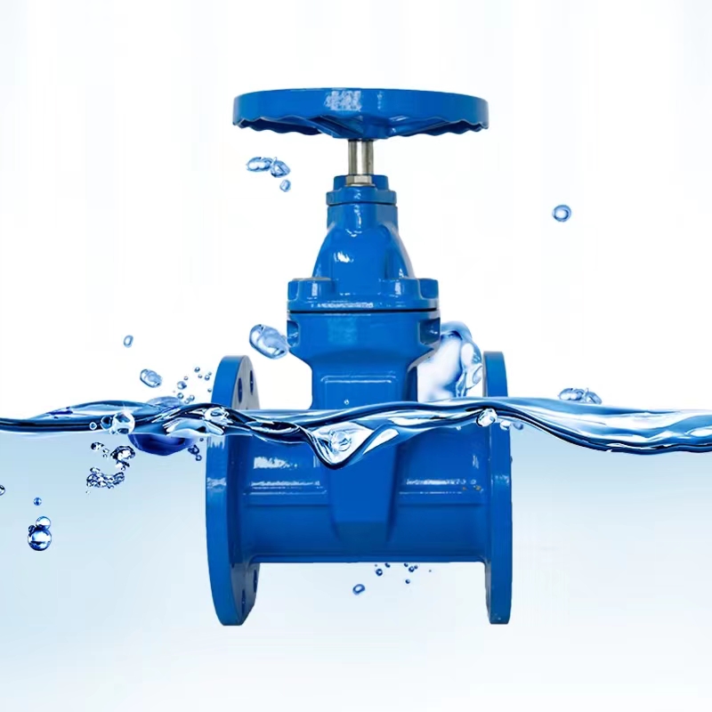 x41法兰式明杆弹性t软密封闸阀水利闸板开关阀手动铸铁