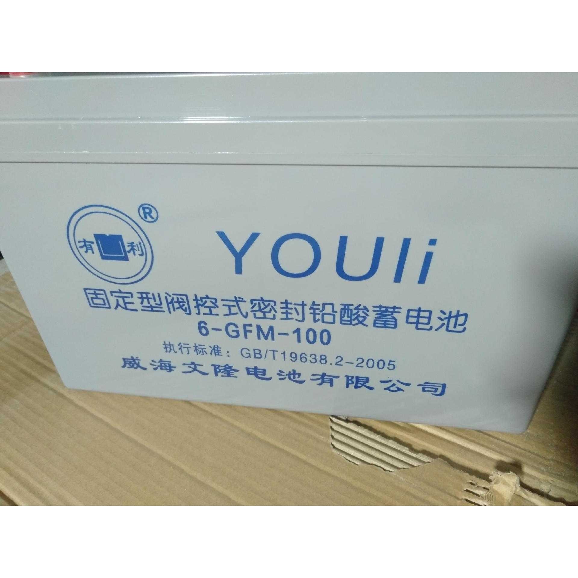 有利蓄电池6GFM100免维护蓄电池12V100AH UPS直流屏船舶 铁路储能
