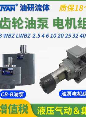 LWBZ齿轮泵CB-BM液压CB-B10油泵6/4/16/20/25/32/40/50/63/80/100