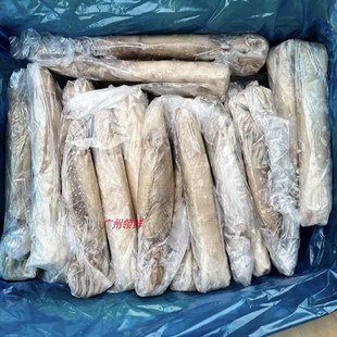 鱿鱼海鲜鱿鱼食材铁板鱿鱼 600g 单冻鱿鱼 整箱20斤速冻大鱿鱼400