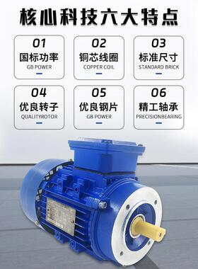 工厂现货三相异步电动机220/380V铝壳交流马达YE3-63M2-4-0.18W