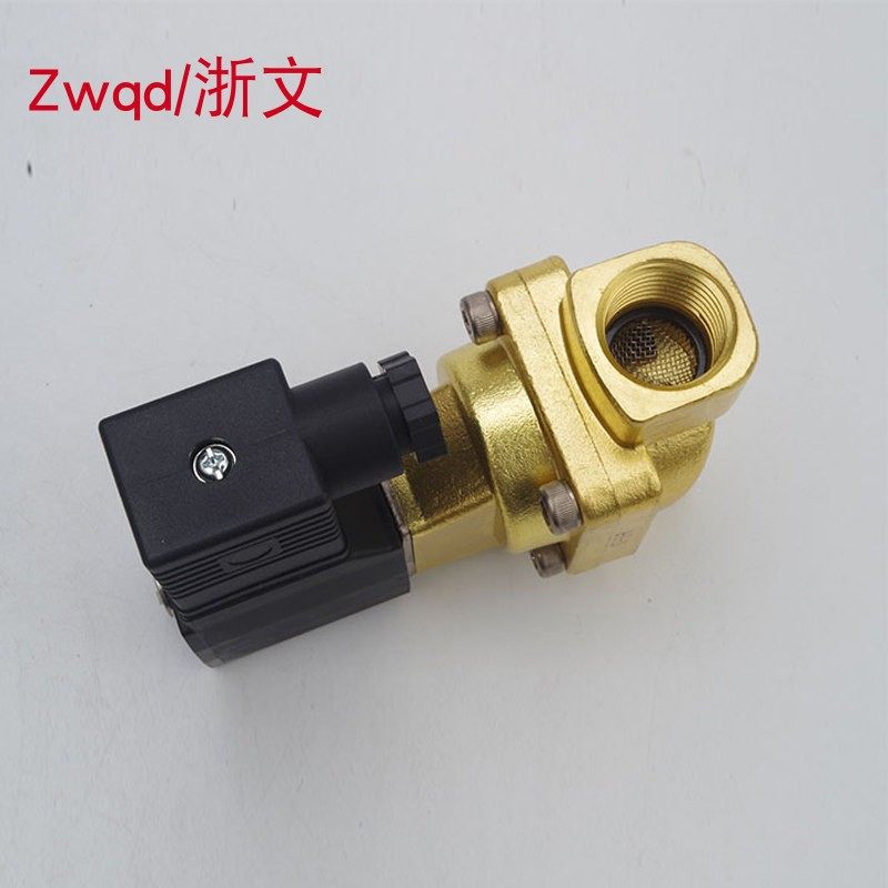 疏水阀2W200-20 2W250-25 A/B DC24V AC220V电磁阀常闭二通铜体,五金/工具,电磁阀,淘宝优惠券,粉丝福利购,淘宝优惠卷