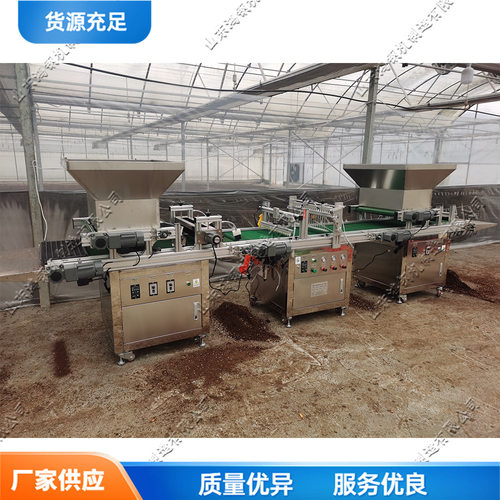 全自动穴盘育苗机 流水线式育苗播种设备 针吸式穴盘压穴播种机