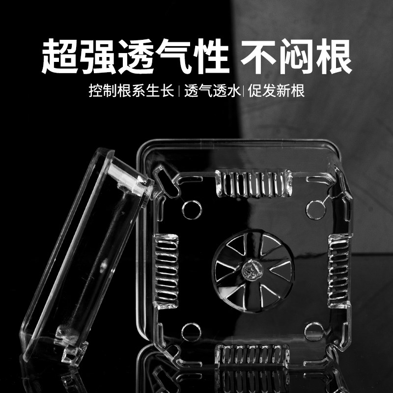 蝴蝶兰花盆蝴蝶兰花盆透明花盆蝴蝶兰盆透明兰花水苔控根盆