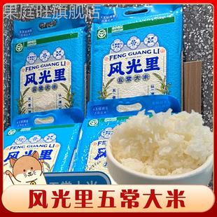 风光里五常大米米村拌饭半天妖烤鱼门店同款米饭原粮稻香东北大米