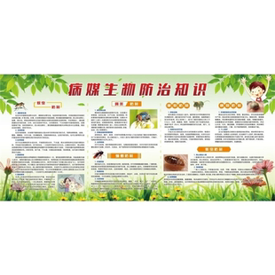 病媒生物防治知识海报展板消灭四害减少疾病健康教育宣传栏墙贴