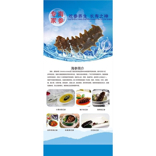 专家海参吃参养生长寿之神海报展板海参墙贴墙纸装饰画