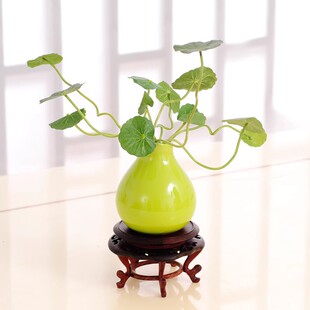 迷你套瓷花瓶仿真花小荷叶金钱叶摆放花卉客厅餐桌面茶几摆放花卉