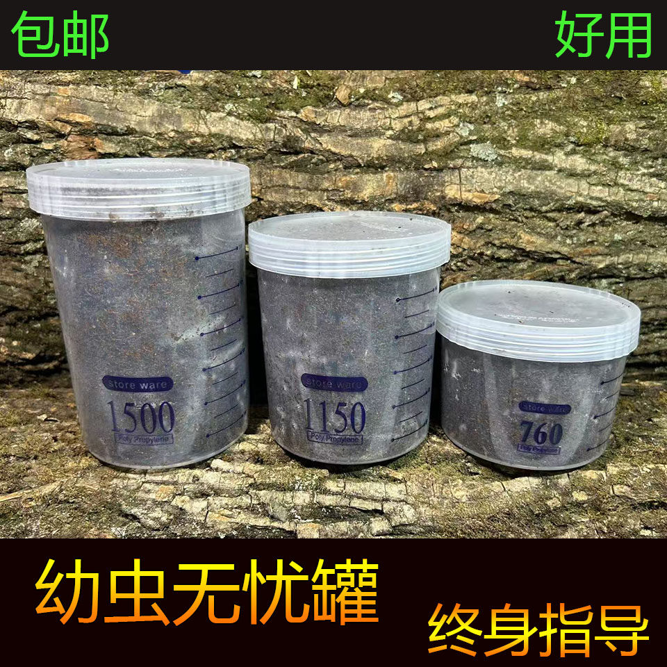 甲虫幼虫饲养无忧罐独角仙长戟大兜幼虫饲养罐南阳彩虹锹甲通用,宠物/宠物食品及用品,爬宠躲避/造景,淘宝优惠券,粉丝福利购,淘宝优惠卷