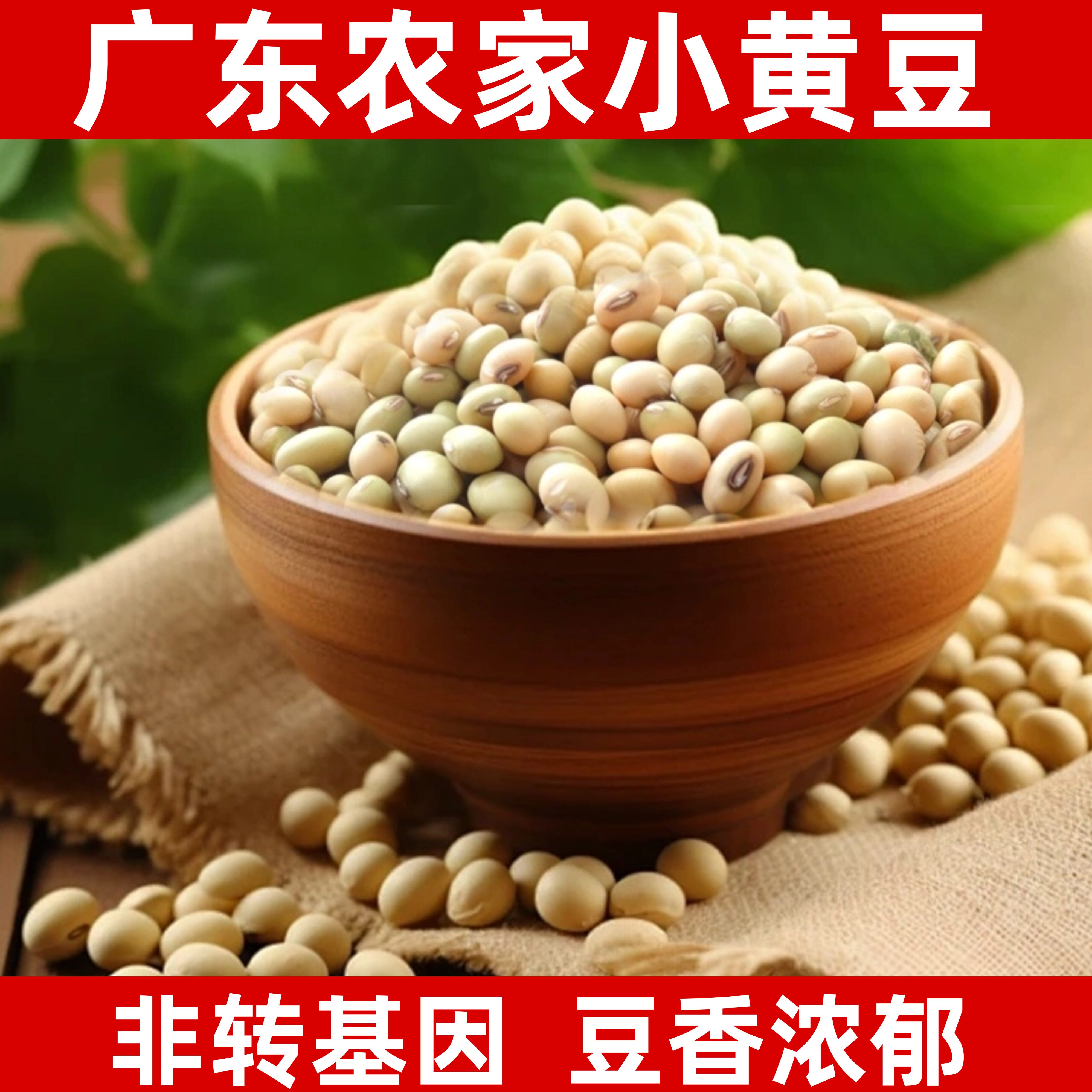 广东岭南正宗农家本地自种小黄豆打豆浆专用非转基因种子大豆新货