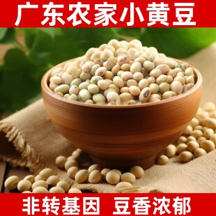 广东岭南正宗农家本地自种小黄豆打豆浆专用非转基因种子大豆新货
