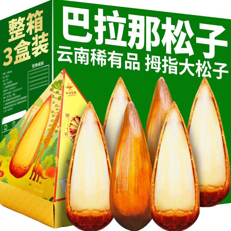 巴拉那大松子80g/盒原味熟食拇指大松子云南特产坚果零食礼盒送礼