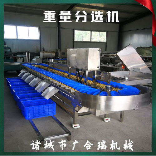 厂家供应全自动牡蛎重量分选机 鸡爪鸭翅转盘式分选设备 支持定制