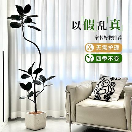 仿真黑金刚橡皮树客厅大盆栽高级室内大型仿生绿植办公室装饰植物