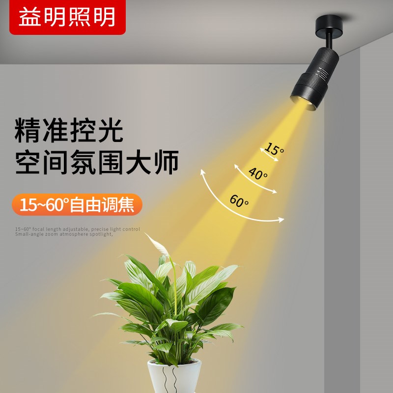 小光束角射灯明装可调角度博物馆餐厅酒吧射灯聚光氛围灯可调焦