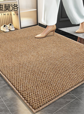 入户门地垫家用垫子大门口脚垫进门门垫2024新R款防滑玄关门厅地