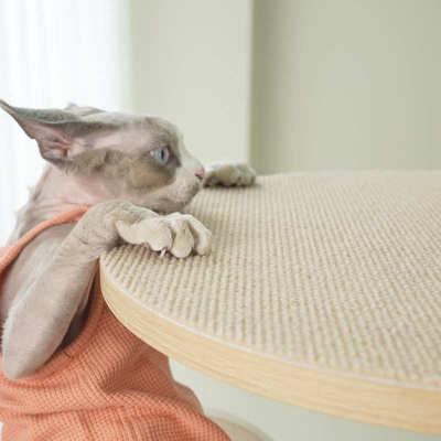 CatS猫家具静电贴防滑圈爬垫不爬架猫无胶CatS防滑绒架粘新疆包邮