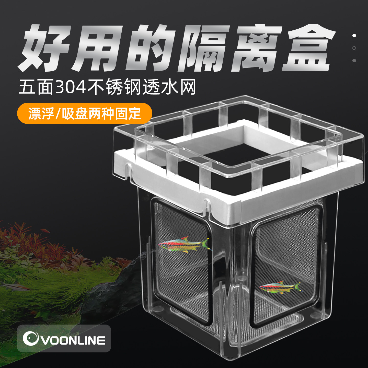 ��Τ�ʸ���� Ư��/���̶̹� ��Τ�ʸ�������緱ֳ��