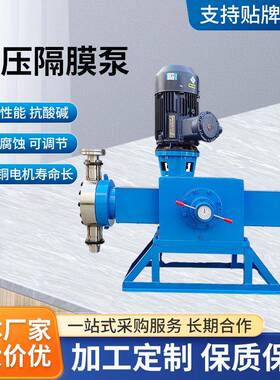 创导双头液压隔膜计量泵高精度安全无泄漏2J-DM型加药泵