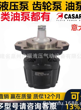 意大利CASAPPA齿轮油泵KP10 KP20 KP30 KP40 KM液压马达双联三联