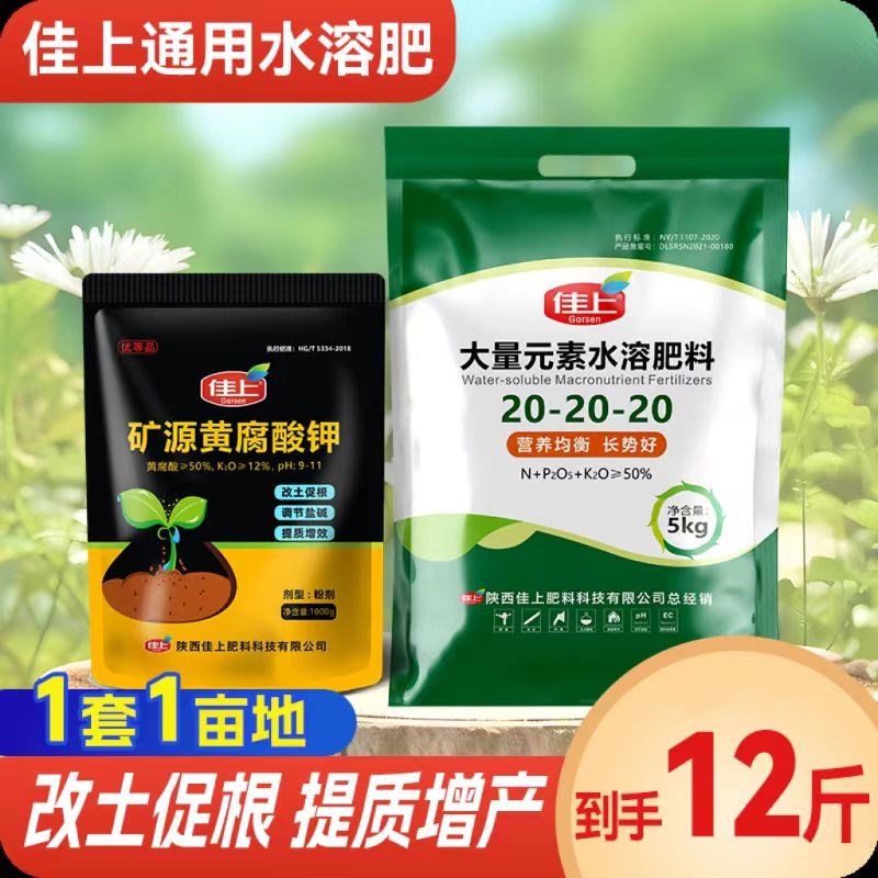 大量元素水溶肥20-20-20平衡型氮磷钾花果蔬通用农用冲施滴灌肥料